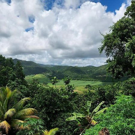 Le Marin Appartement T2 Le Vallon Au Marin Martinique מראה חיצוני תמונה